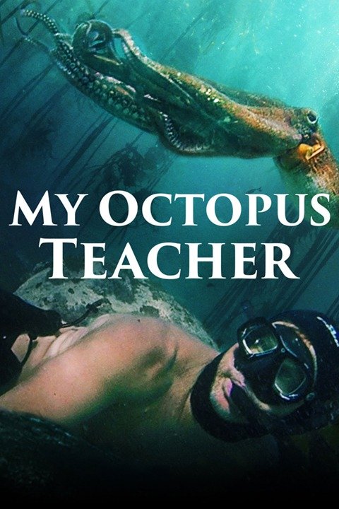 My Octopus Teacher (2020) [72068] (A1772147233) [[Movies 2.0]] --Plex--